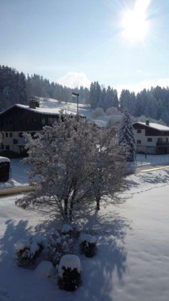 Appartement du Petit Bois Megève Extérieur photo